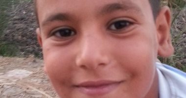 بعد عقر نجله.. قارئ يطالب بحملة على الكلاب الضالة فى بورسعيد