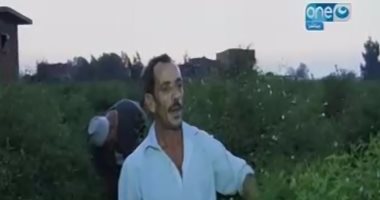 أهالى "قرية الياسمين" بالغربية يروون معاناتهم مع الدولة لـ"على هوى مصر"