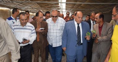 إعدام ١٢ طن و٦٤٨ كيلو لحوم وأسماك ودواجن فاسدة بالدقهلية