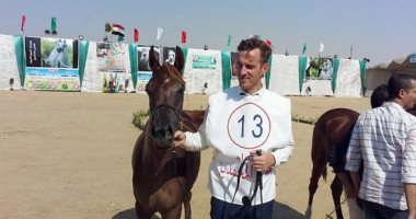 بالفيديو والصور .. تفاصيل فعاليات اليوم الاول لمهرجان الخيول