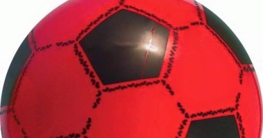 بالمستندات.. بعد أزمة الكرة الحمراء بمباراة الزمالك تعرف على وزنها الطبيعى