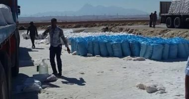 ضبط 4 أطنان ملح طعام غير مطابق للمواصفات بأحد مصانع برج العرب غرب الإسكندرية