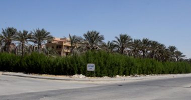 مفوضية الدولة توصى بوقف تنفيذ قرار إزالة المساحات الخضراء فى 15مايو