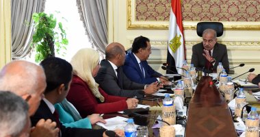 الحكومة: 2.6 مليار دولار سنويا لتوفير احتياجات قطاع الصحة والدواء بمصر