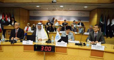 بالصور.. خلال مؤتمر "الصحة العالمية".. وزير الصحة: عالجنا 836 ألف مريض فيروس سى (تحديث)