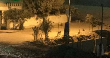 أهالى حدائق الأهرام يعانون من انتشار الكلاب الضالة فى المنطقة "ن"