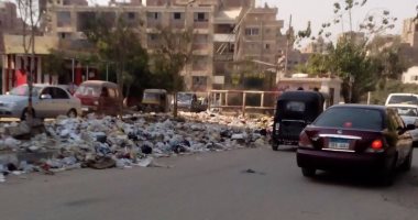 شكوى من انتشار القمامة بشارع الأربعين خلف حديقة بدر بجسر السويس