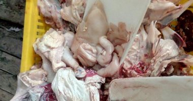 ضبط نصف طن دواجن مجمدة منتهية الصلاحية قبل بيعها للمواطنين بالحوامدية 