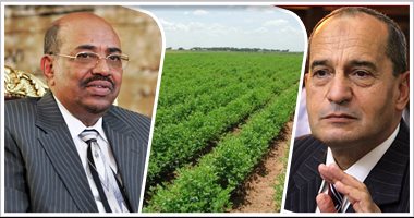 مستشار وزير الزراعة: توقيع مذكرة تفاهم لإنشاء مزارع نموذجية بالسودان