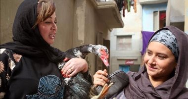 مليون و300 ألف إيرادات إلهام شاهين ومحمود حميدة والفيشاوى فى"يوم للستات"