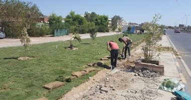 بالصور.. سفاجا تتزين لاستقبال الرئيس فى افتتاح الميناء البحرى