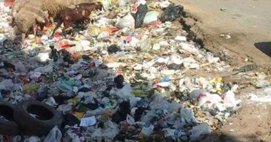صحافة المواطن.. "قمامة وغنم وحشرات" أمام مستشفى التأمين الصحى بقليوب