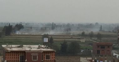 أهالى الحسينية بالشرقية يستغيثون من حرق قش الأرز 