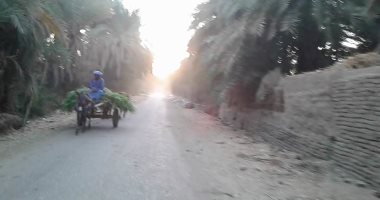 بالفيديو والصور.. شكاوى أهالى أسوان من تهالك طريق أبو غلاب