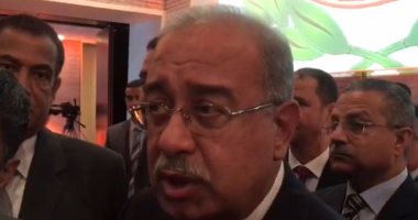 رئيس الوزراء يستقبل اليوم نظيره اللبنانى بمطار القاهرة 
