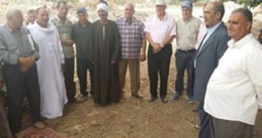 نجاح زراعة 92 ألف فدان قمح  بنظام المصاطب فى الشرقية