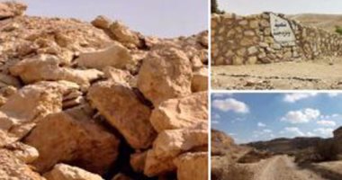 البيئة تحتفل باليوم العالمى للحياة البرية بمكتبة الإسكندرية