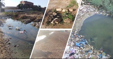 كارثة صحية جديدة بالإسكندرية..رى الأراضى بمياه الصرف بدون معالجة بقرية أبو مسعود.. والفلاحون: نروى المحاصيل بالمخلفات الآدمية.. ومهندس زراعى: إنشاء محطات تنقية لحماية المواطنين من نقل العدوى والفيروسات