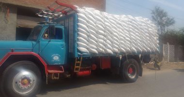 ضبط 12.5 طن ملح طعام مغشوش داخل مطحن ملح بطنطا