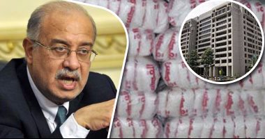 رئيس الوزراء لـ"اليوم السابع": لا يوجد التزام مصرى بتدبير 6 مليار دولار للحصول على قرض "النقد الدولى".. وترشيد الدعم مطبق قبل اللجوء للصندوق.. ويؤكد:رصيد السكر يكفى 3 أشهر.. ولن نسمح بممارسات احتكارية