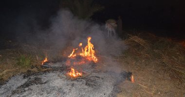 بأمر القانون.. حظر إلقاء المخلفات الزراعية في المجارى المائية