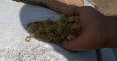 ضبط سيارة محملة بعجائن ومكرونة متعفنة من المطاعم لبيعها كأعلاف بالدقهلية