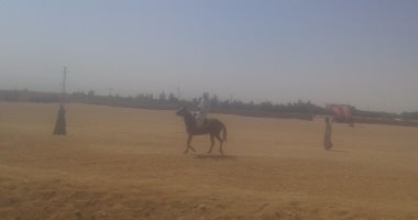 4 إصابات بين جمهور سباق الفروسية بكوم أمبو بسبب جنوح الخيل
