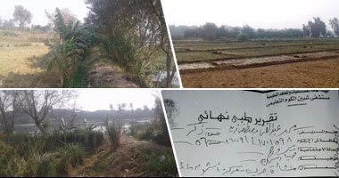 بالصور.. أملاك طرح النيل بالمنوفية تؤخذ بوضع اليد.. أصحابها يدفعون قيمة فدانين والمساحة 8 أفدنة ويحرمون الصيادين من الصيد.. أحد الصيادين: اضربت أنا وأسرتى واتحرق مركبى لمنع قوت يومى