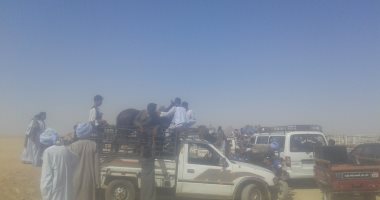 بالصور.. زحام على العبارات النهرية للحاق بسباق الخيول فى كوم أمبو 