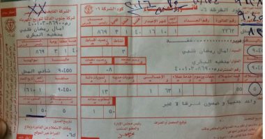 قارئة تشكو: فاتورة كهرباء شقة سكنية فى الغربية قيمتها "جنيه ونصف"
