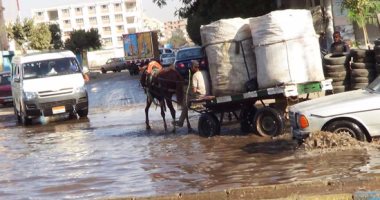زحام مرورى بسبب كسر ماسورة صرف صحى بشارع فيصل