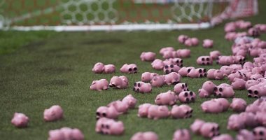 عودة فيروس "H5N8" ضربة قوية لمنتجى الطيور فى فرنسا والدول الأوروبية