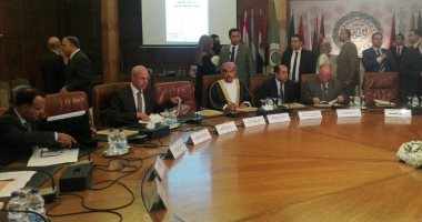 بالصور ..محمود الضبع: الوثيقة العربية تحفظ هوية وحق سيادة الأوطان