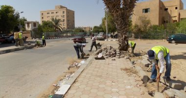 بالصور.. مديرية الطرق بالوادى الجديد تنهى ترميم الأرصفة والميادين بالخارجة