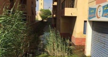 شكوى من غرق عمارات التيسير بحى العجمى فى مياه الصرف الصحى