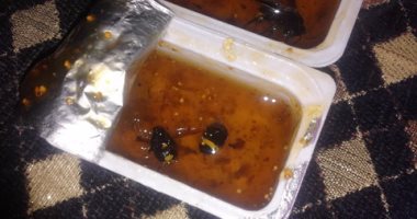 بالصور.. طلاب مدرسة ثانوية بسوهاج يعثرون على "دبور" داخل علب المربى