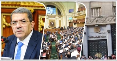 وزير المالية يكشف للنواب خبايا القرارات الاقتصادية الأخيرة.. عمرو الجارحى:لولا التعويم لتوقف الاقتصاد.. وإعفاء الدواجن من الجمارك لم يكن لصالح "الوكيل".. ويؤكد:لا ربط بين قرض صندوق النقد وديون الحكومة