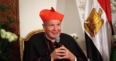 وزير خارجية النمسا يدعوم لعاقبة الدول التى ترفض استقبال مواطنيها المبعدين