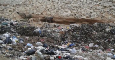 بالصور.. قارئ يحذر من انهيار الطريق الدائرى بسبب عربات القمامة
