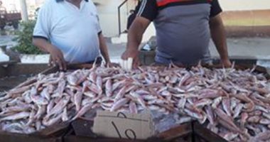 محافظ بورسعيد يعلن توافر كميات كبيرة من السلع التموينية 
