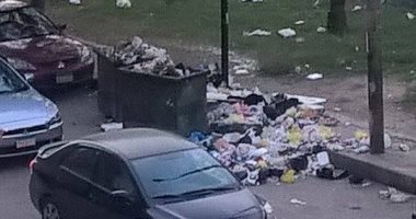أهالى شارع الحجاز بمصر الجديدة يشتكون من القمامة والكلاب الضالة