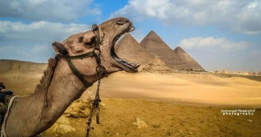 قارئ يشارك بمجموعة من الصور الساحرة لمعالم مصر السياحية
