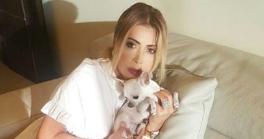 بالصور.. "كلبة" نوال الزغبى تمتلك 10 آلاف متابع على "إنستجرام" 