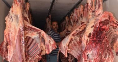 أوكرانيا تستعد لتوريد لحوم مجمدة إلى مصر