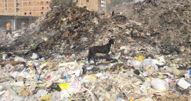 بالصور.. شكوى من تراكم أتلال القمامة فى مدينة قباء بحى السلام