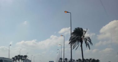 بالصور.. قارئ يرصد إضاءة أعمدة إنارة صباحا بطريق رشيد - الإسكندرية الدولى