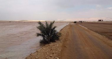 بالصور .. سيول وأمطار غزيرة تضرب عددا من القرى بالداخلة والفرافرة