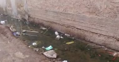 شكوى من انتشار مياه الصرف الصحى بقرية منية المباشرين بالغربية