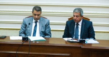 بالصور.. النائب سيد أبو بريدعة: هناك نواب يجمعون بطاقات الشباب لعمل قوائم المحليات