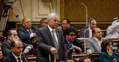نائب: الحكومة عجزت عن حل أزمة ارتفاع الأسعار ويجب سحب الثقة منها